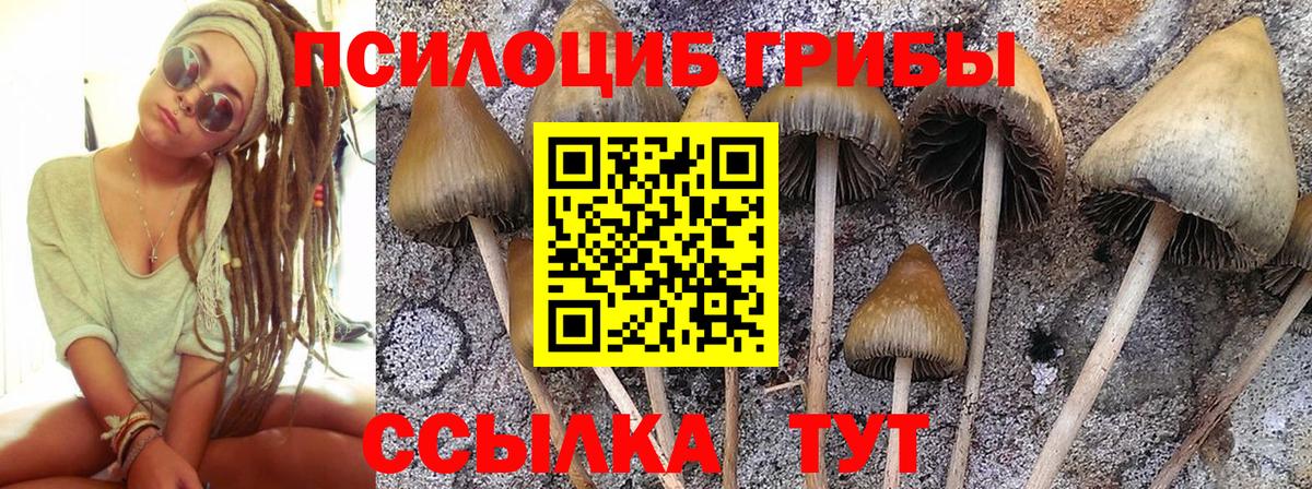 Галлюциногенные грибы прущие грибы  Галлюциногенные грибы прущие грибы  Вход с VPN  Иркутск 